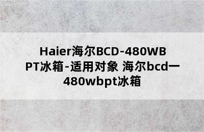 Haier海尔BCD-480WBPT冰箱-适用对象 海尔bcd一480wbpt冰箱